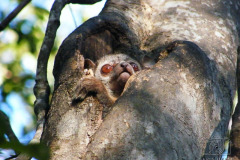DSCF0468