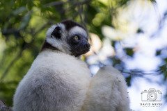 IMG_0215