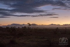 IMG_1066