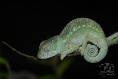 IMG_1222