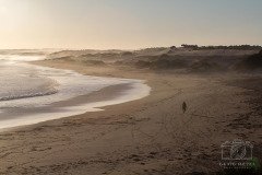 IMG_1589