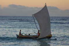 IMG_1838