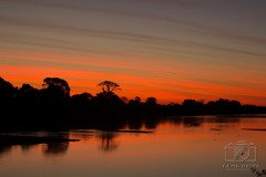 IMG_2285