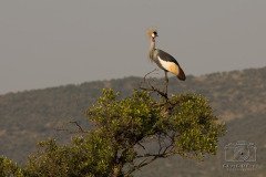 IMG_2658