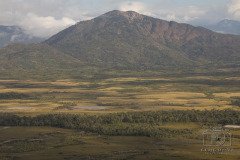 IMG_3068