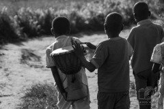 IMG_3294