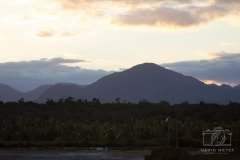 IMG_4902