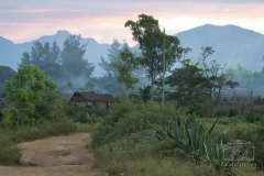 IMG_4903