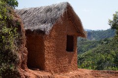 IMG_6650