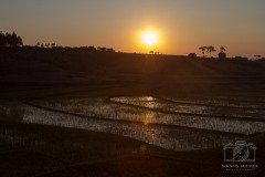 IMG_6690