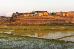 IMG_6702