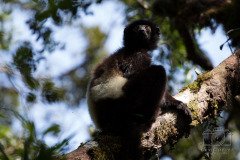 IMG_6825