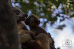 IMG_7316
