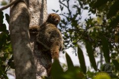 IMG_7408