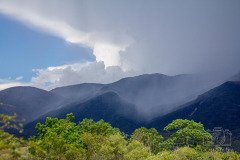IMG_7986