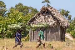 IMG_8438