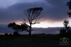 IMG_9308
