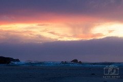 IMG_9314